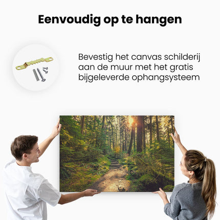 Canvas schilderij ophangen Voetpad in het Bos