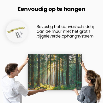 Canvas schilderij ophangen Bos met Zon tussen de Bomen