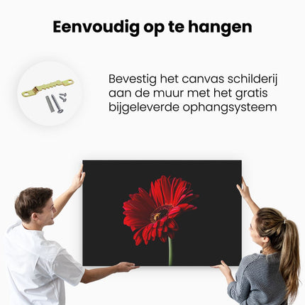 Canvas schilderij ophangen Rode Gerbera Bloem 