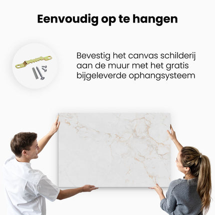 Canvas schilderij ophangen Abstracte Kunst - Witte Marmer met Bruin en Grijs