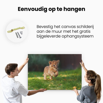 Canvas schilderij ophangen Jonge Baby Leeuw in het Wild - Welp