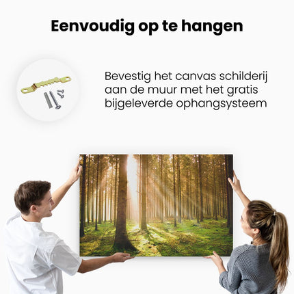 Canvas schilderij ophangen Herfstbos - Bomen