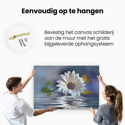 Canvas schilderij ophangen Witte Margriet Weerspiegeld in Water