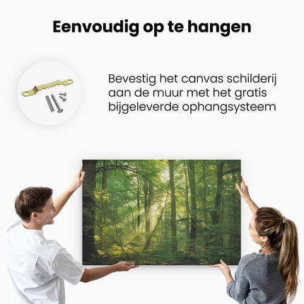 Canvas schilderij ophangen Bos met Zonlicht dat door de Bomen Schijnt