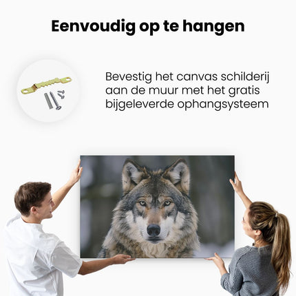 Canvas schilderij ophangen De Wolf Kijkt naar de Camera