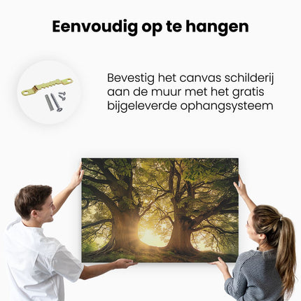 Canvas schilderij ophangen De Zon schijnt door de Bomen