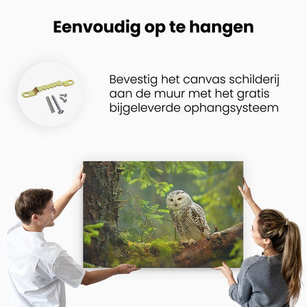 Canvas schilderij ophangen Sneeuwuil Zat op een Boomtak