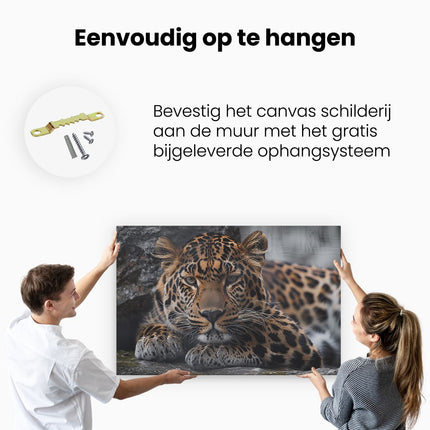 Canvas schilderij ophangen Luipaard Rustend op een Rots