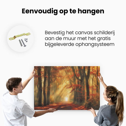 Canvas schilderij ophangen De Zon schijnt door de Bomen
