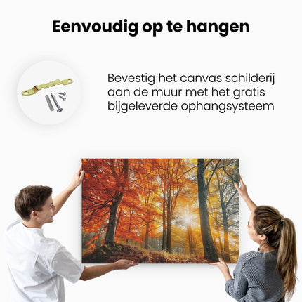 Canvas schilderij ophangen De Zon schijnt door de Bomen in het Bos