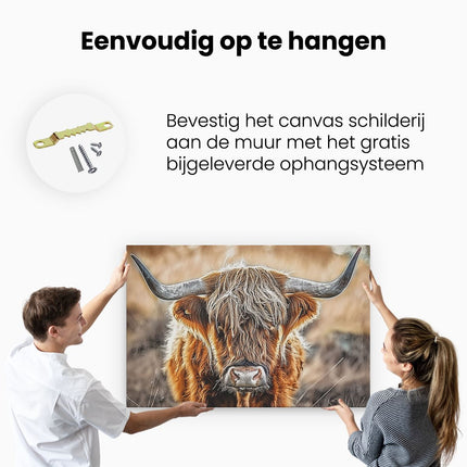 Canvas schilderij ophangen Schotse Hooglandkoe met Lange Hoorns