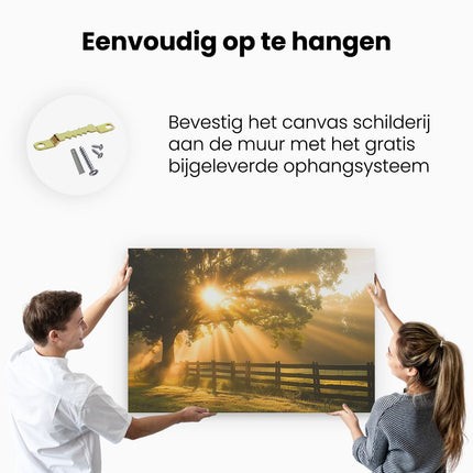 Canvas schilderij ophangen Zonnestralen Komen door een Boom in een Veld