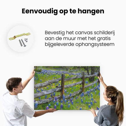 Canvas schilderij ophangen Hek, Bluebonnets, Texas