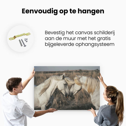 Canvas schilderij ophangen Twee Witte Paarden in een Veld