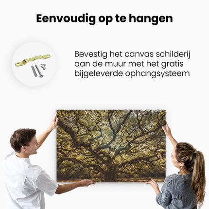 Canvas schilderij ophangen Oude Eik in Charleston, Zuid-Carolina