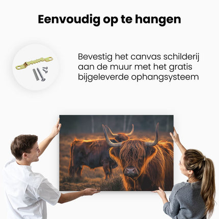 Canvas schilderij ophangen Twee Hooglandkoeien in een Veld