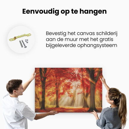 Canvas schilderij ophangen Rood Herfstbos met Zonlicht dat door de Bomen Schijnt