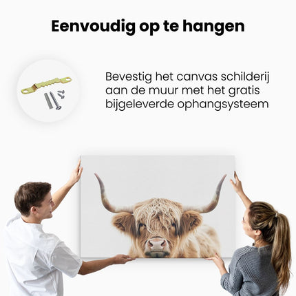 Canvas schilderij ophangen Schotse Hooglandkoe met Hoorns