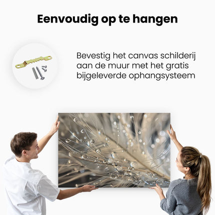 Canvas schilderij ophangen Waterdruppels op een Veer