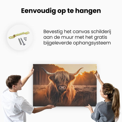 Canvas schilderij ophangen Hooglandkoe die in een Veld Staat bij Zonsondergang