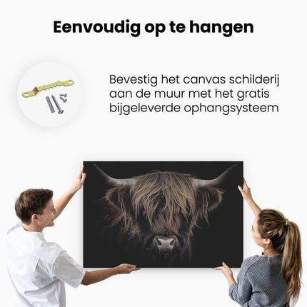 Canvas schilderij ophangen Schotse Hooglandkoe op een Zwarte Achtergrond