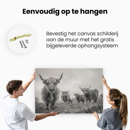 Canvas schilderij ophangen Groep Hooglandkoeien die in een Veld Staan