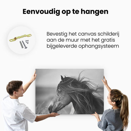 Canvas schilderij ophangen Zwart Wit Afbeelding van een Paard