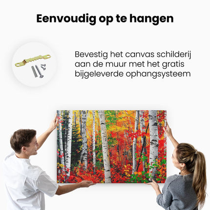 Canvas schilderij ophangen Kleurrijke Berkenbomen in de Herfst