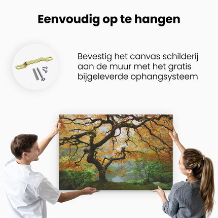 Canvas schilderij ophangen Oude Knoestige Boom