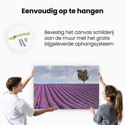 Canvas schilderij ophangen Lavendel veld III