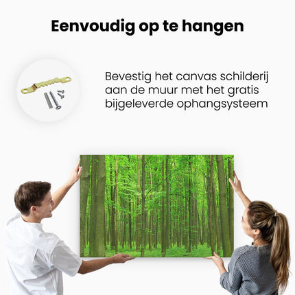 Canvas schilderij ophangen Groene Bos