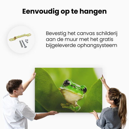 Canvas schilderij ophangen Kikker