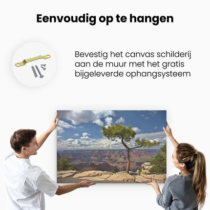 Canvas schilderij ophangen Grand Canyon met Boom