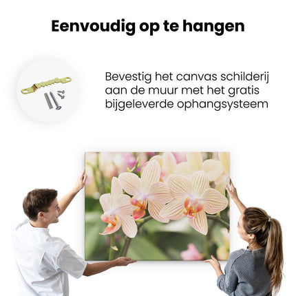 Canvas Schilderij Ophangen Gestreepte Witte Orchidee Bloemen