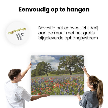Canvas Schilderij Ophangen Veld met Wilde Bloemen in Texas
