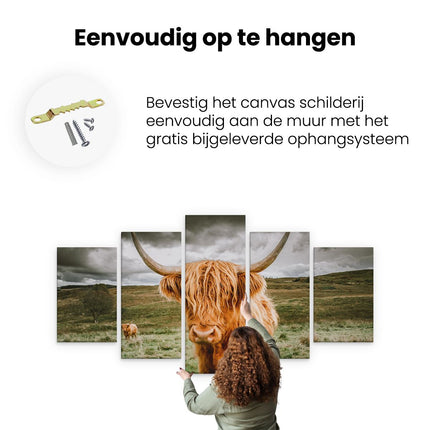 Canvas schilderij vijfluik ophangen schotse hooglanders in de wei - kleur