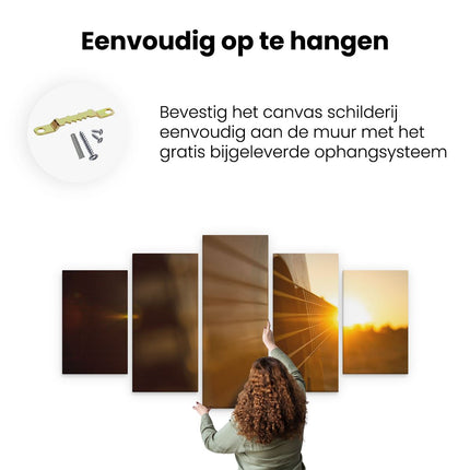 Canvas schilderij vijfluik ophangen gitaar spelen tijdens zonsondergang