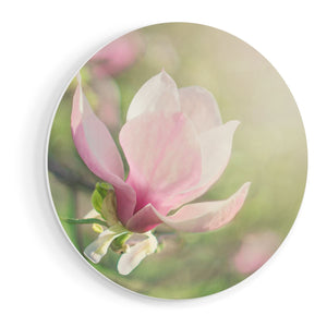Wandcirkel vooraanzicht Roze Magnolia Bloem 