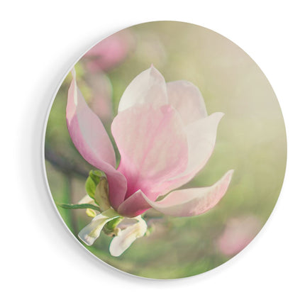 Wandcirkel vooraanzicht Roze Magnolia Bloem 