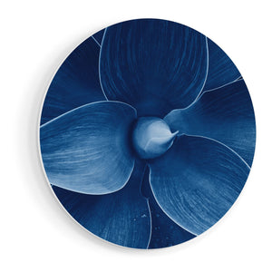 Wandcirkel vooraanzicht Blauwe Agave Plant - Bloem