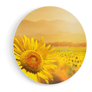 Wandcirkel vooraanzicht Zonnebloemen Veld Met Zonopkomst