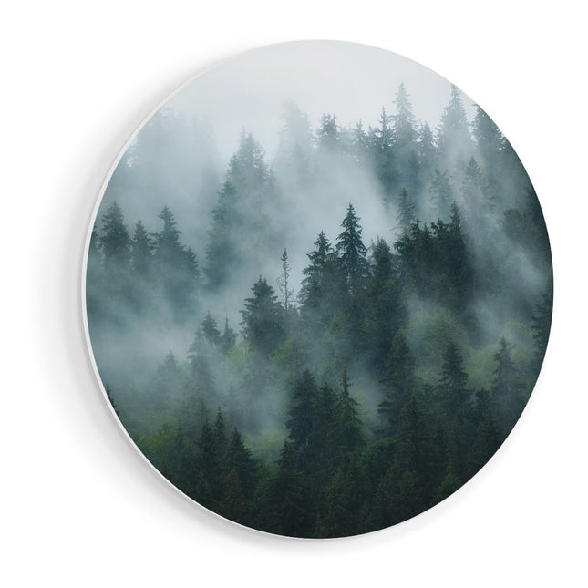Wandcirkel vooraanzicht Bos Met Bomen In De Mist