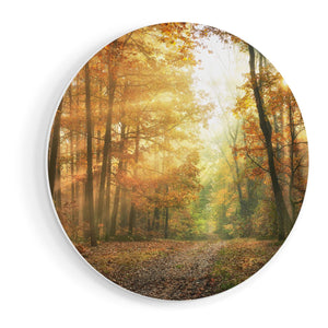 Wandcirkel vooraanzicht Herfstbos Met Zonneschijn