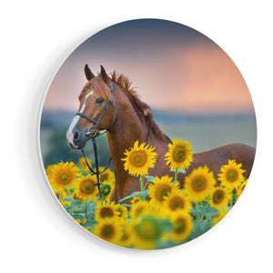 Wandcirkel vooraanzicht Bruin Paard Tussen De Zonnebloemen
