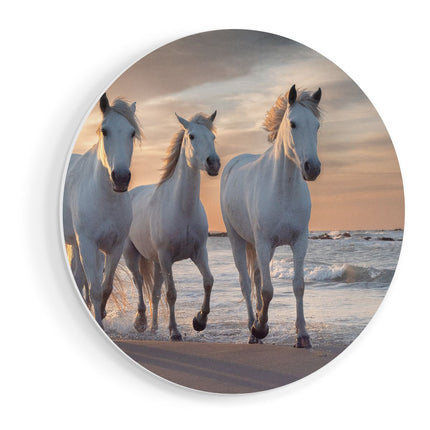 Wandcirkel vooraanzicht Witte Paarden Op Het Strand Bij Water