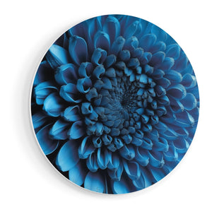 Wandcirkel vooraanzicht Close-Up van een Blauwe Chrysant Bloem