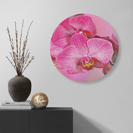 Wandcirkel muur Roze Orchidee Bloemen