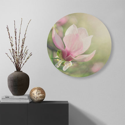 Wandcirkel muur Roze Magnolia Bloem 