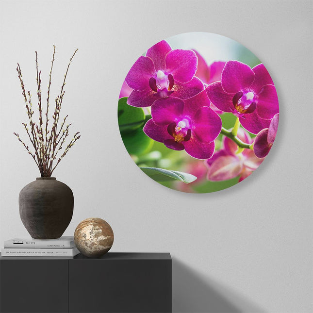 Wandcirkel muur Roze Orchidee Bloemen