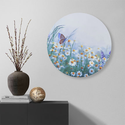 Wandcirkel muur Witte Kamille Bloemen Met Een Vlinder